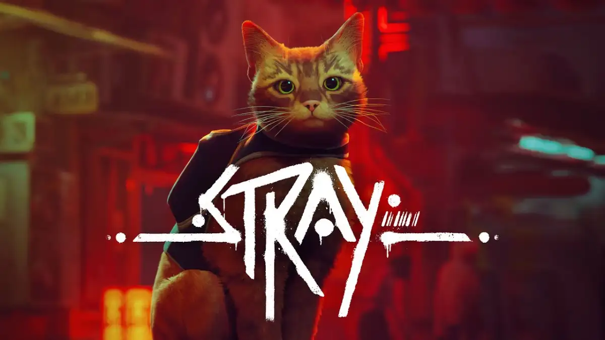 Stray-KV